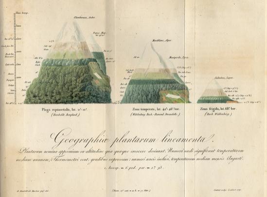 Alexander von Humboldt, rukopis iz 1817. prikazuje geografsku rasprostranjenost biljaka