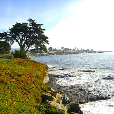 36. Santa Cruz, California
