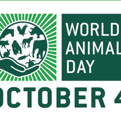Svjetski dan zaštite životinja, naslovna
