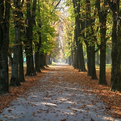 Park u jesen