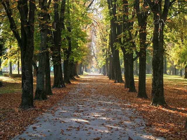 Park u jesen