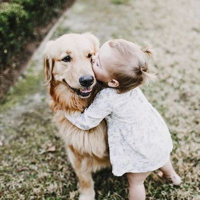 Pas u bebinom zagrljaju