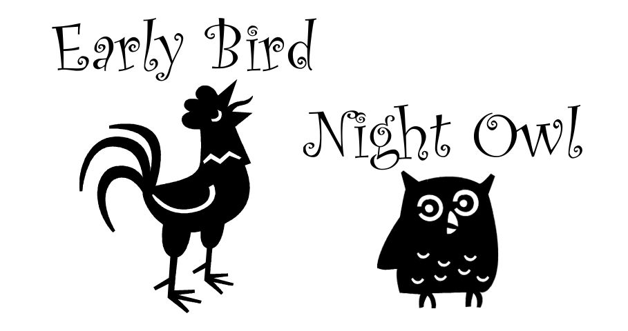 Noćne ptice - fotka u tekst