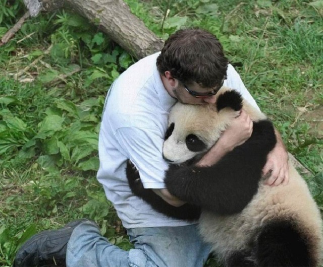 Međunarodni dan zagrljaja - panda i čovjek