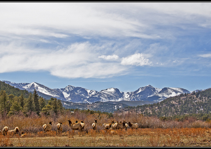 11. Estes Park, Colorado