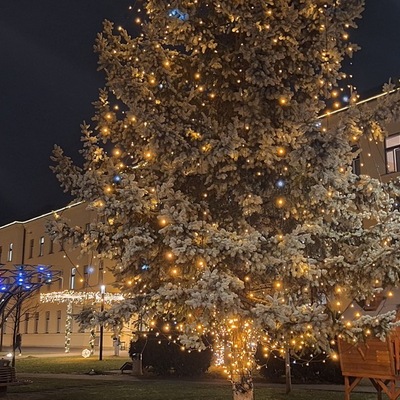 Advent u varaždinskom SC-u