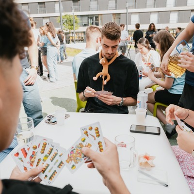 Roštiljada i Dravski party
