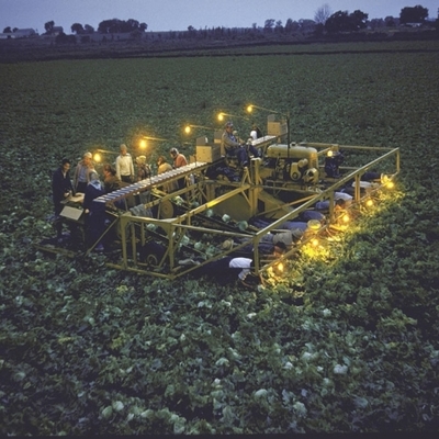 Farmer Bob Chickering i njegov stroj za branje salate, 1955