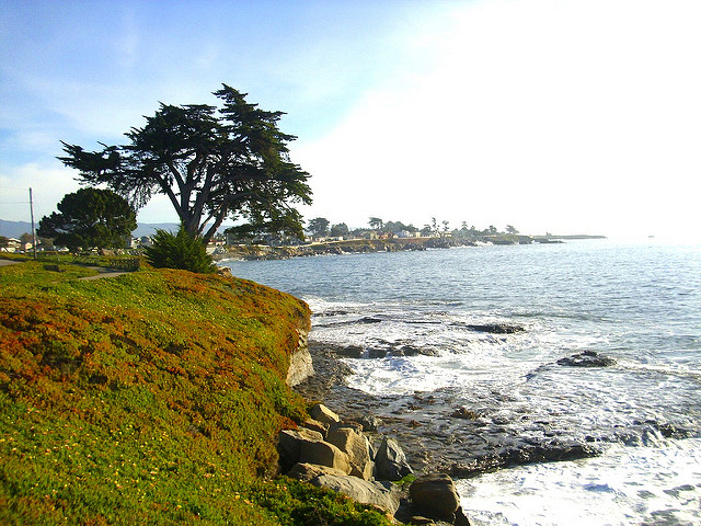 36. Santa Cruz, California