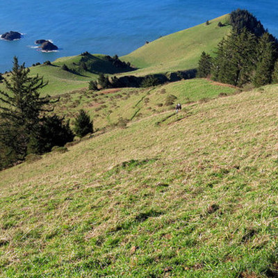 42. Lincoln City, Oregon