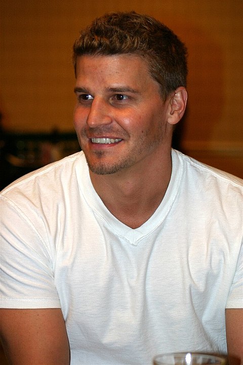 https://en.wikipedia.org/wiki/David_Boreanaz#/media/File:David_Boreanaz_May_2004_white_tshirt.jpg