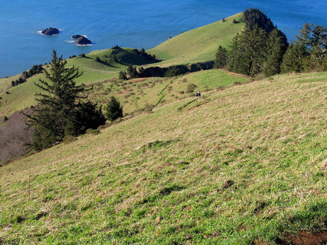 42. Lincoln City, Oregon