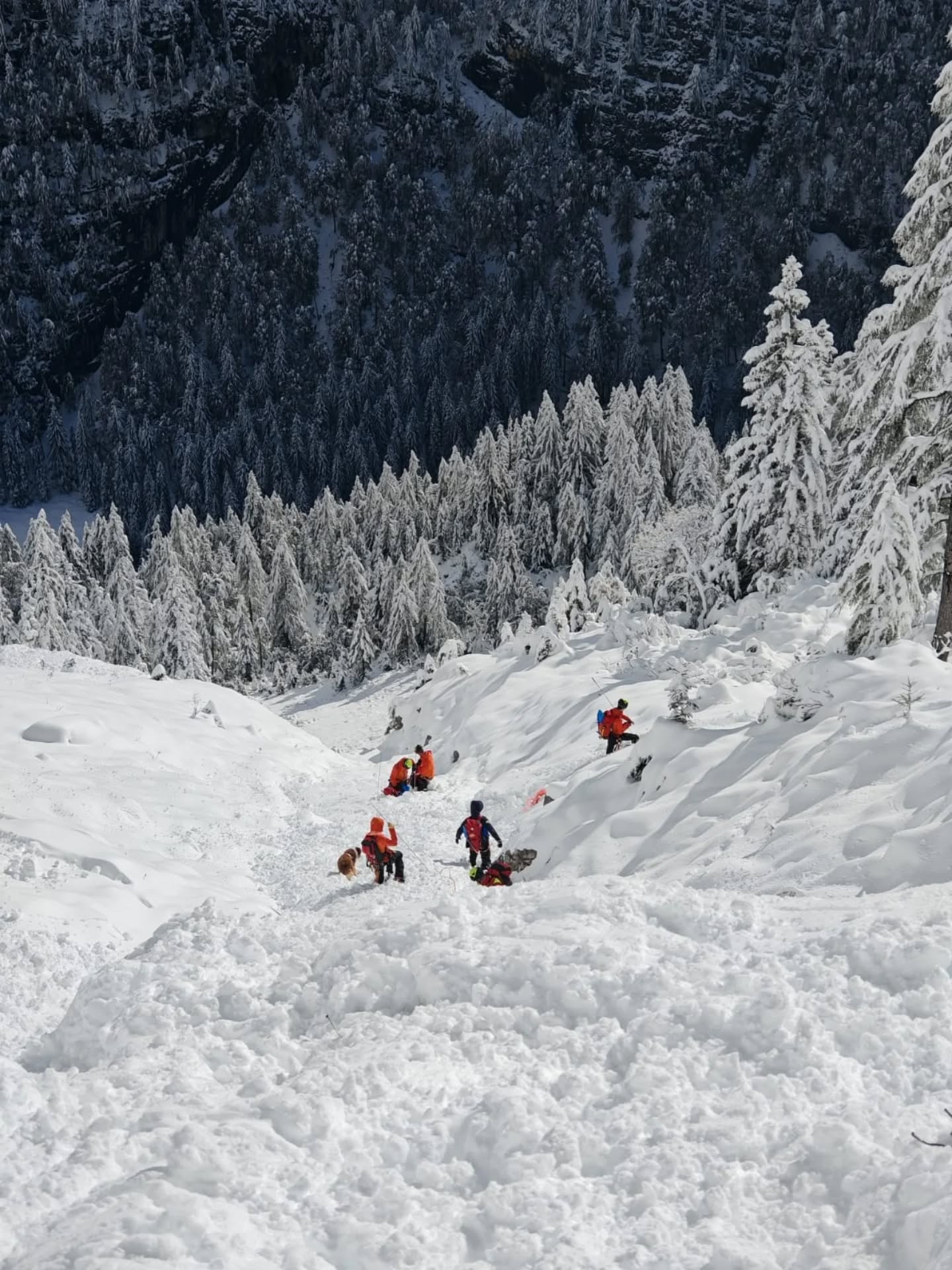 Gorska reševalna služba Bohinj