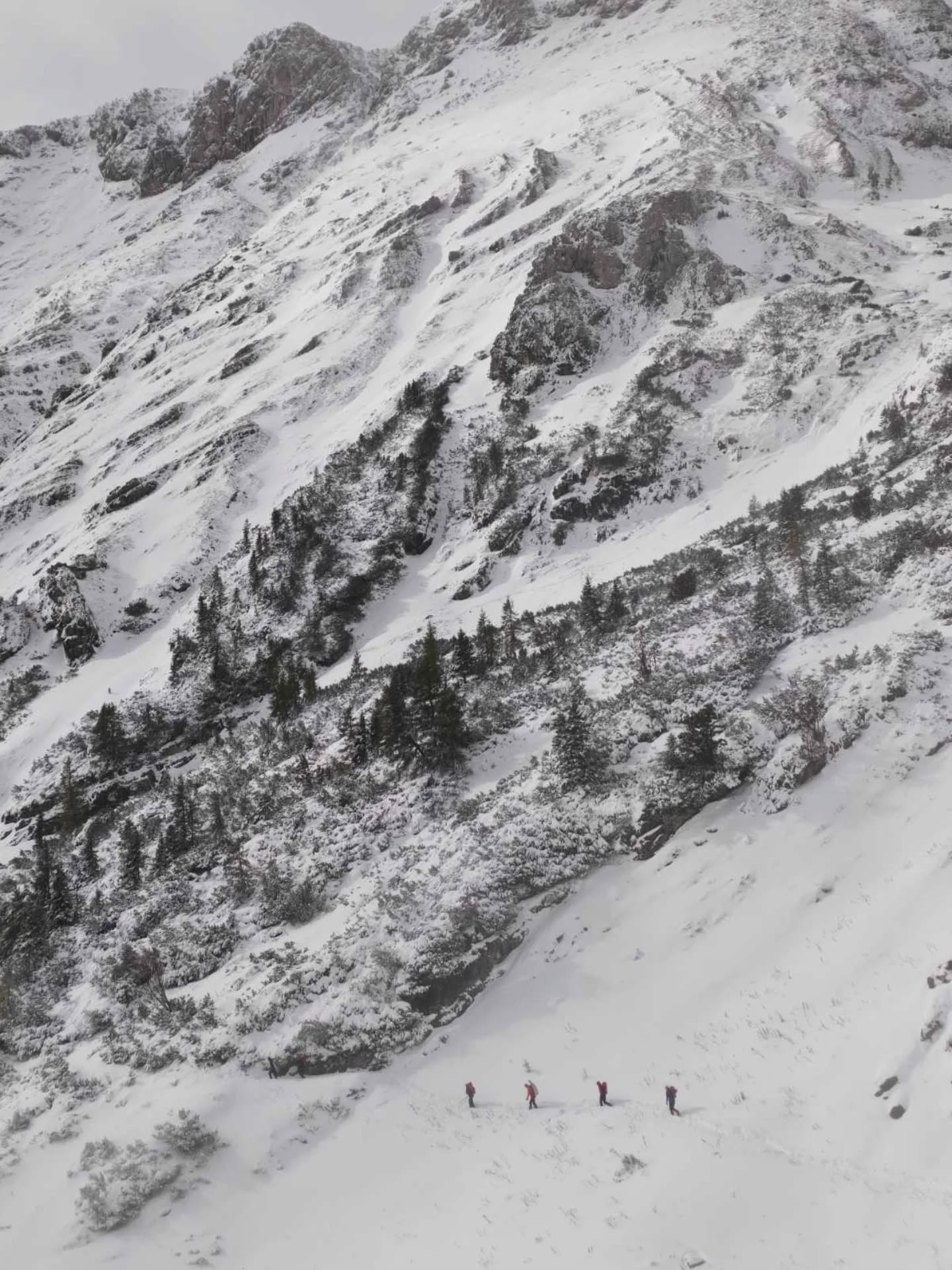 Gorska reševalna služba Bohinj