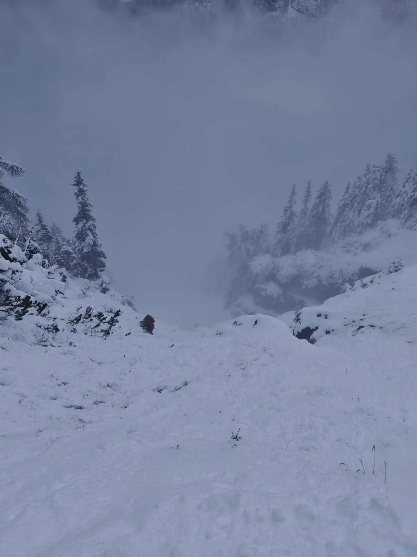 Gorska reševalna služba Bohinj