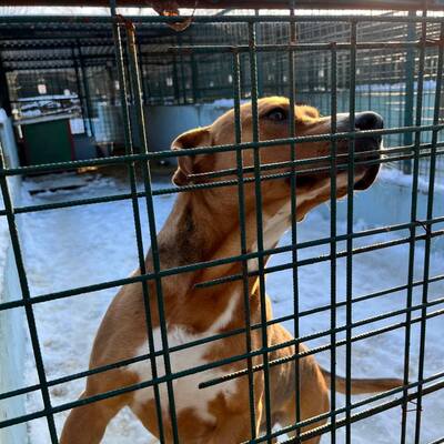 Međimursko veleučilište u Čakovcu