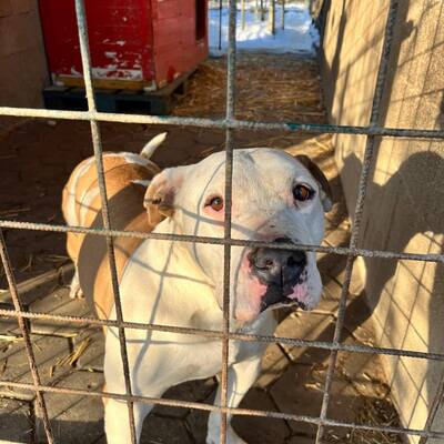 Međimursko veleučilište u Čakovcu