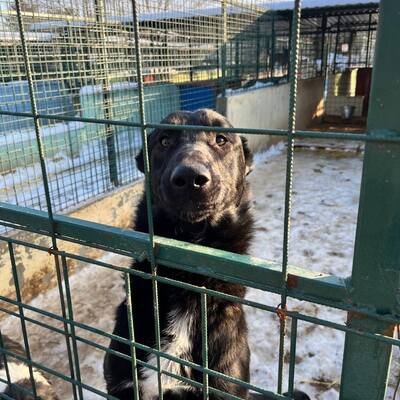 Međimursko veleučilište u Čakovcu