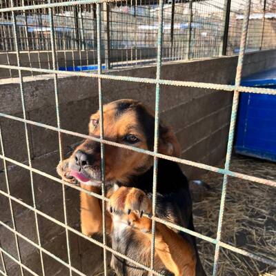 Međimursko veleučilište u Čakovcu