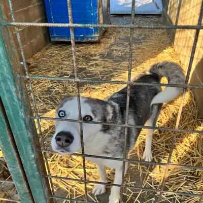 Međimursko veleučilište u Čakovcu