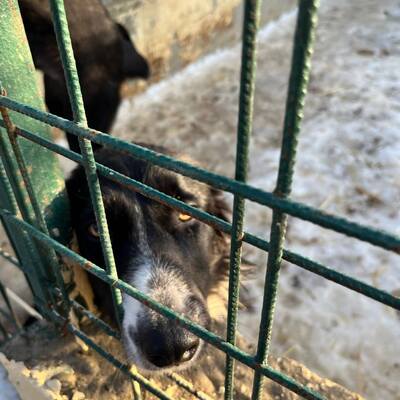 Međimursko veleučilište u Čakovcu