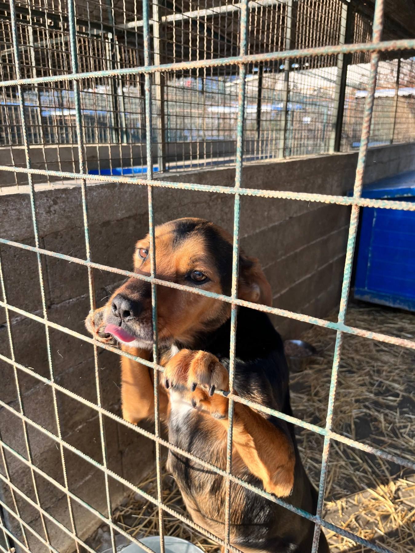 Međimursko veleučilište u Čakovcu