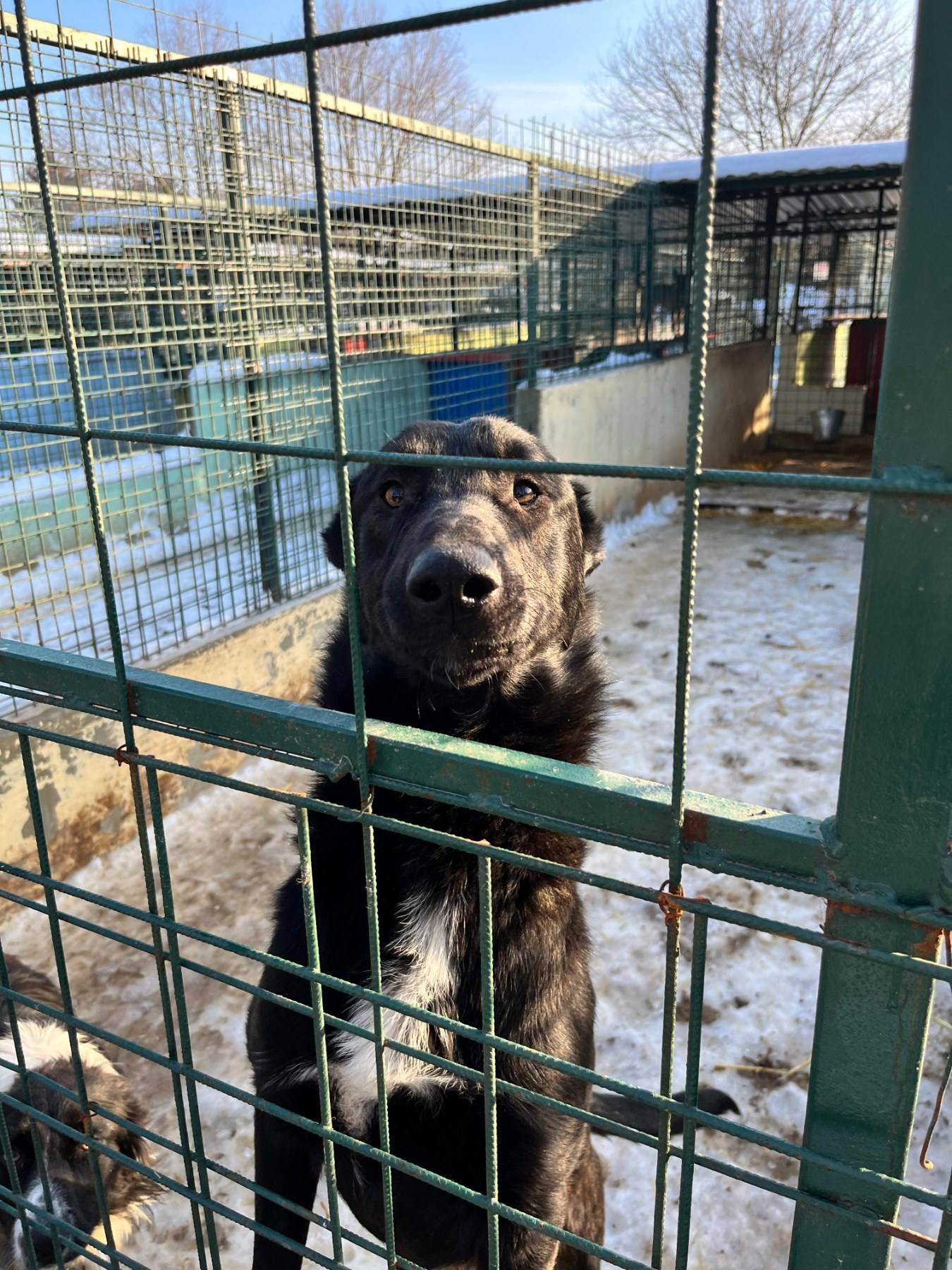 Međimursko veleučilište u Čakovcu