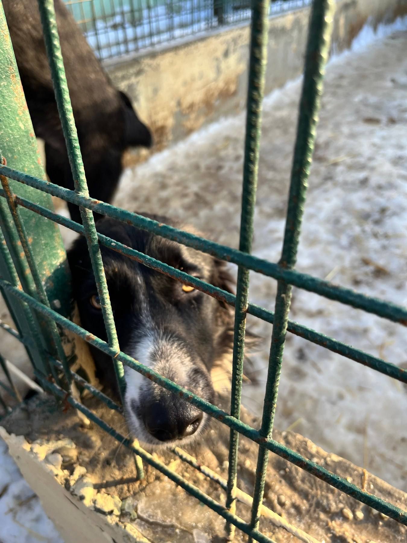 Međimursko veleučilište u Čakovcu