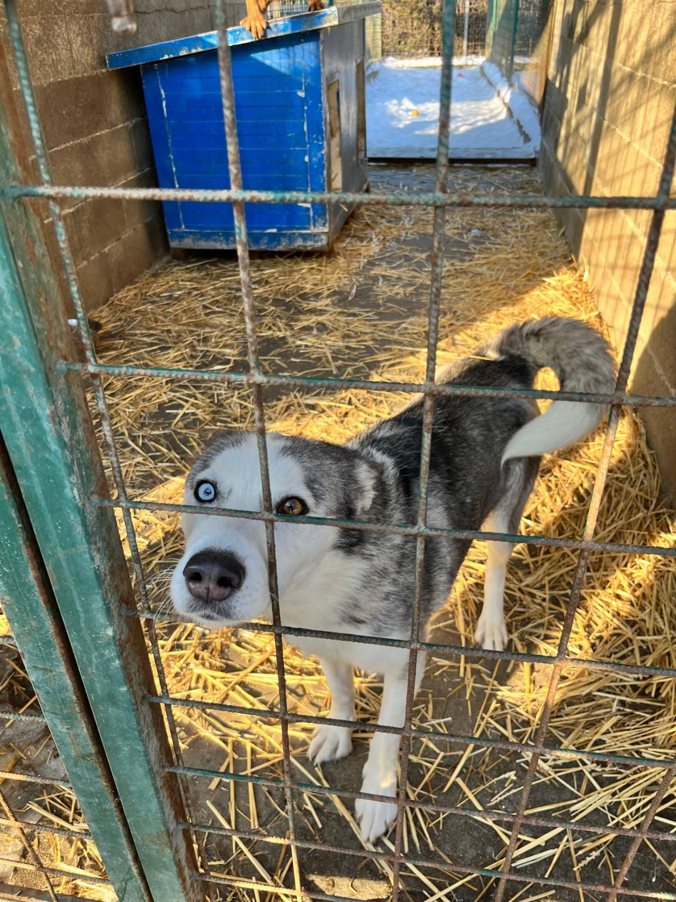 Međimursko veleučilište u Čakovcu
