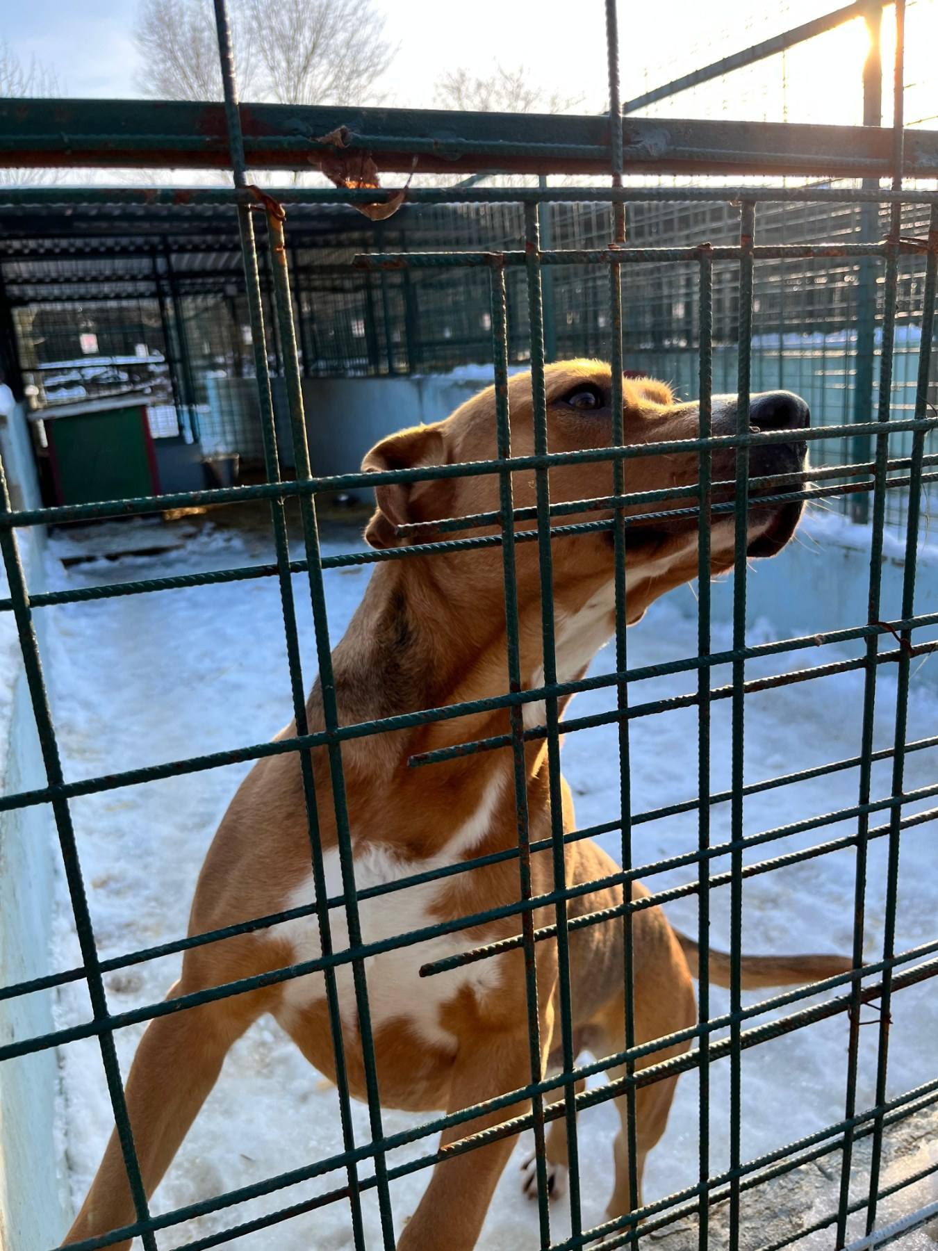 Međimursko veleučilište u Čakovcu