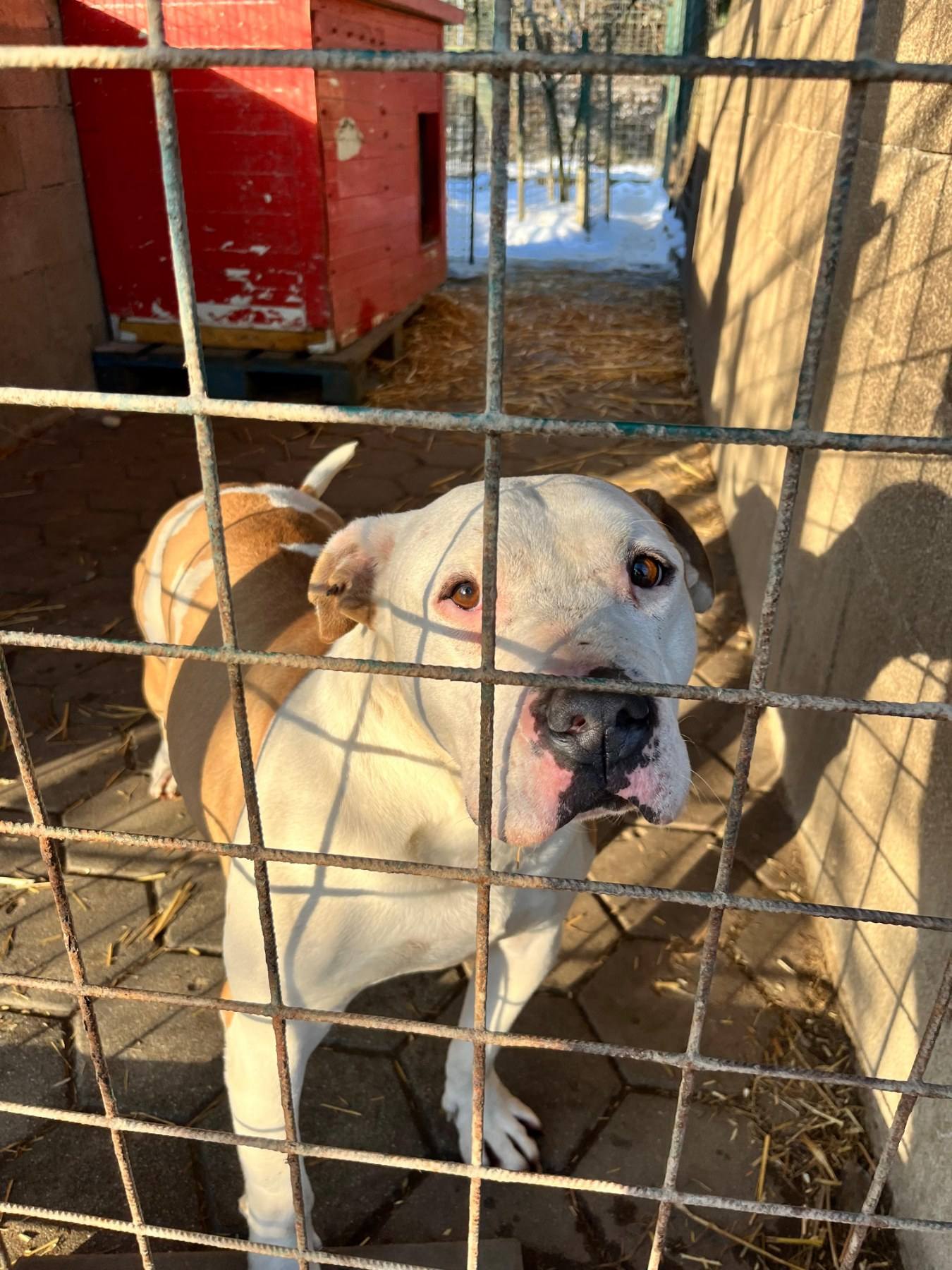 Međimursko veleučilište u Čakovcu