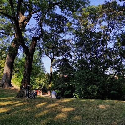 Park-šuma Rokov perivoj