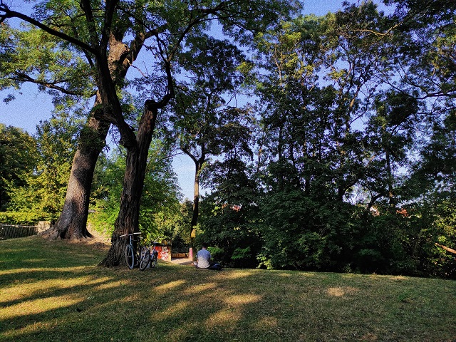 Park-šuma Rokov perivoj