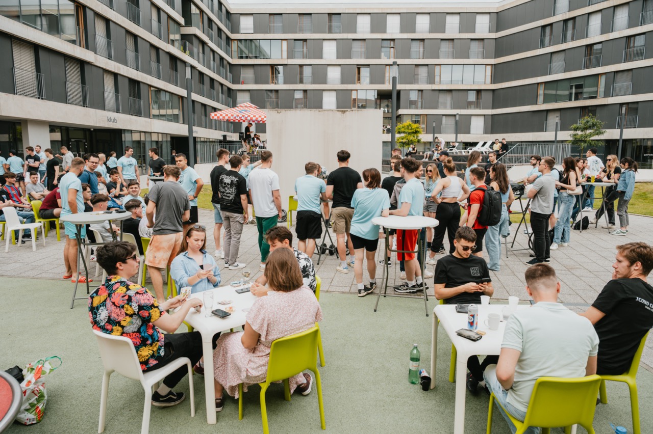 Roštiljada i Dravski party