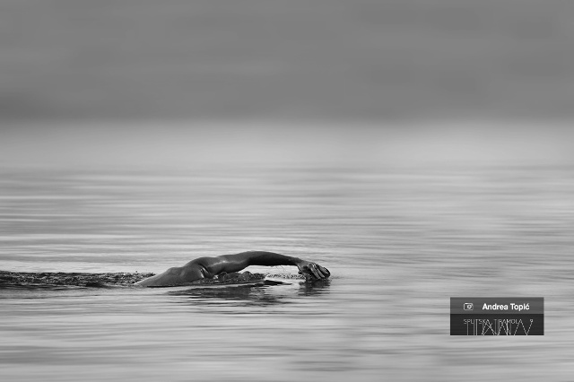 Izložba fotografija "Splitska tiramola" - Andrea Topić, Noćno kupanje