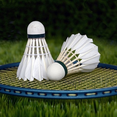 Badminton