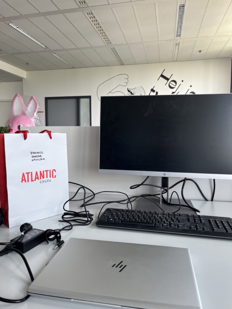 Stručna praksa u Atlanticu