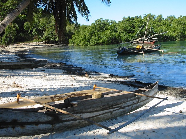 https://pixabay.com/photos/madagascar-canoe-fisherman-beach-81893/