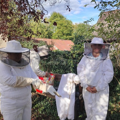  Agencija za mobilnost i programe Europske unije