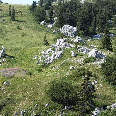 Velebit