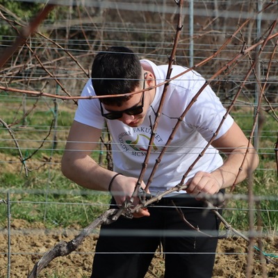 Prvo međufakultetsko natjecanje studenata agronomije u rezidbi vinove loze