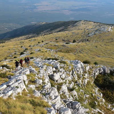 Udruga Biom