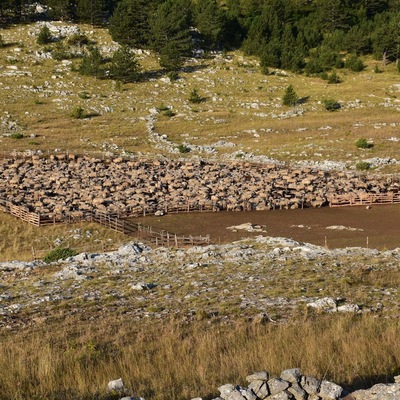 Udruga Biom