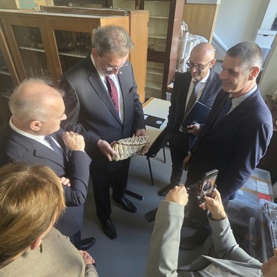 Prirodoslovno-matematički fakultet Sveučilišta u Zagrebu 