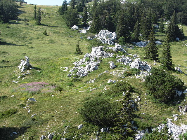 Velebit