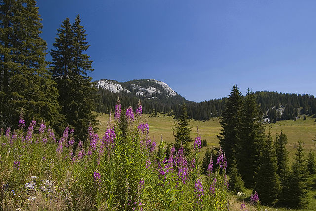 Velebit