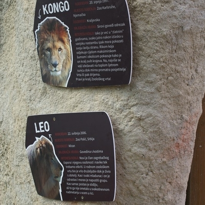 Kongo i Leo