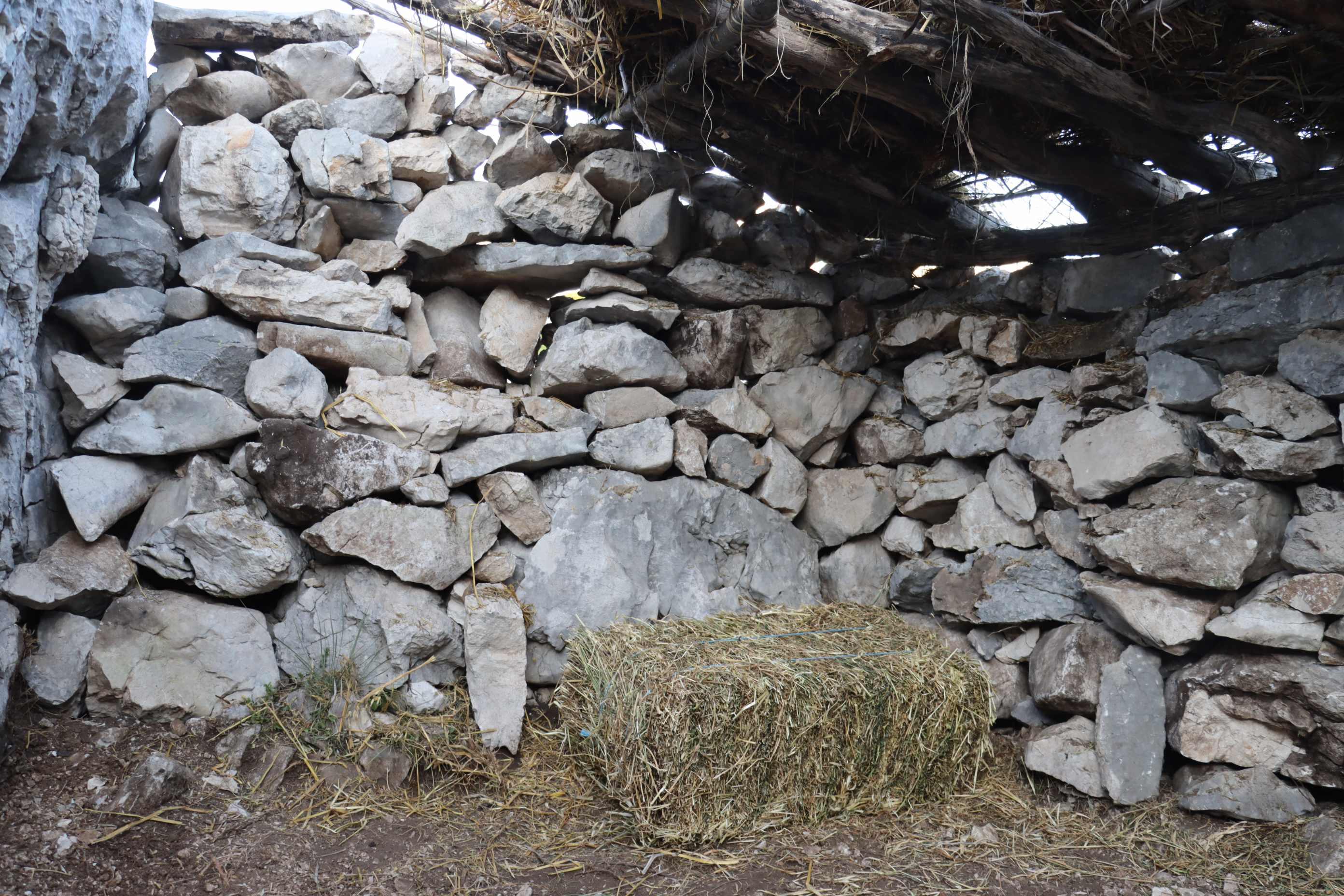 Biokovo