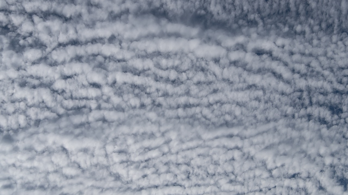 https://pixabay.com/photos/clouds-white-blue-fluffy-3594372/