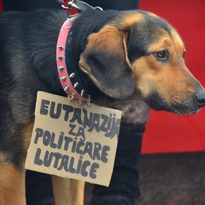 Prosvjed studenata BiH